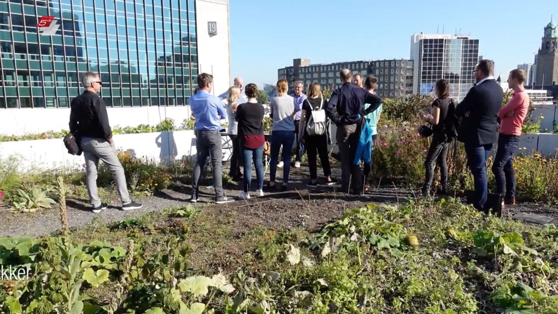 Reportagevideo | De Vijfde Gevel - Slimme daken Rotterdam