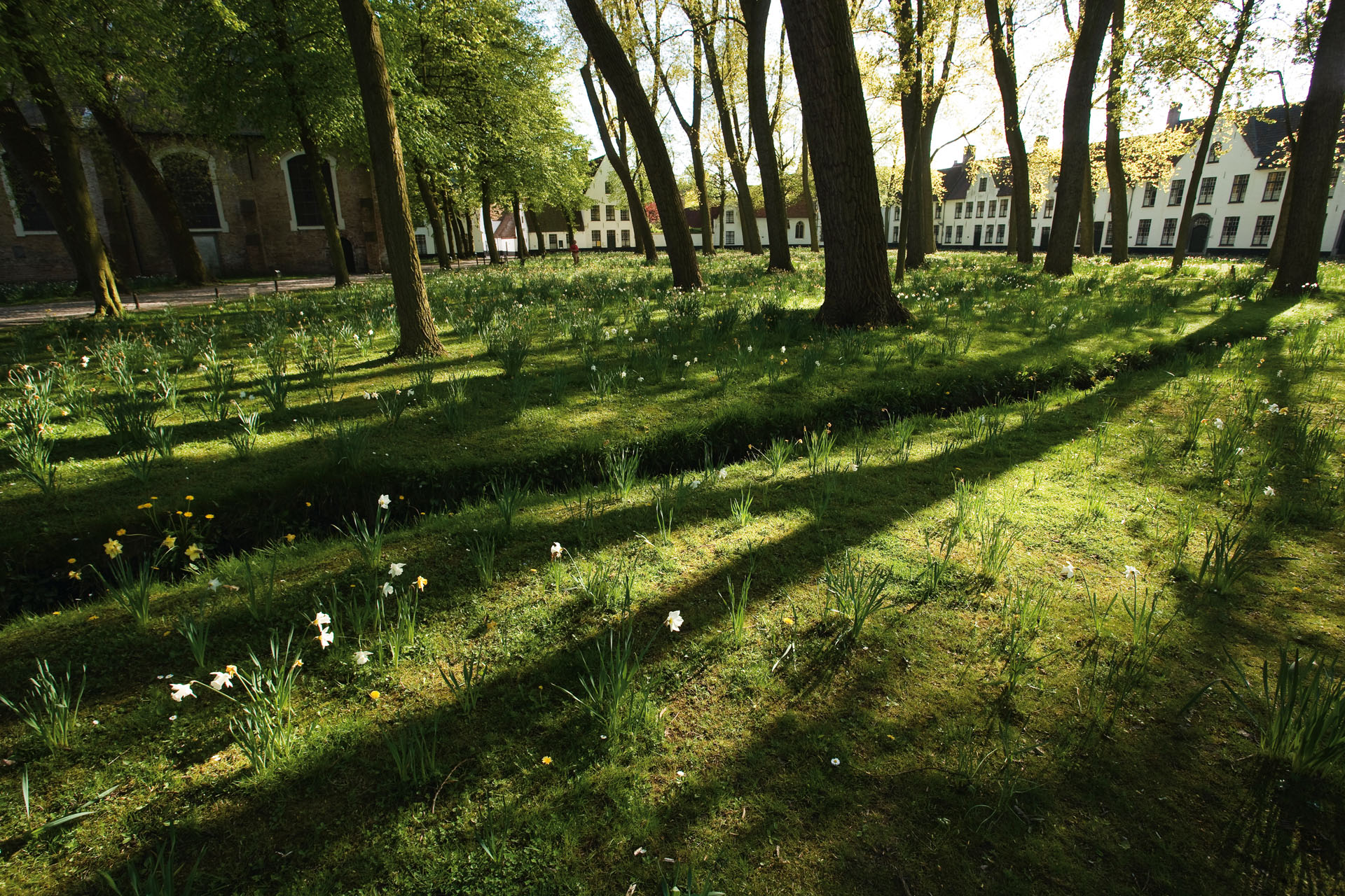 Stadsfotografie Stad Brugge