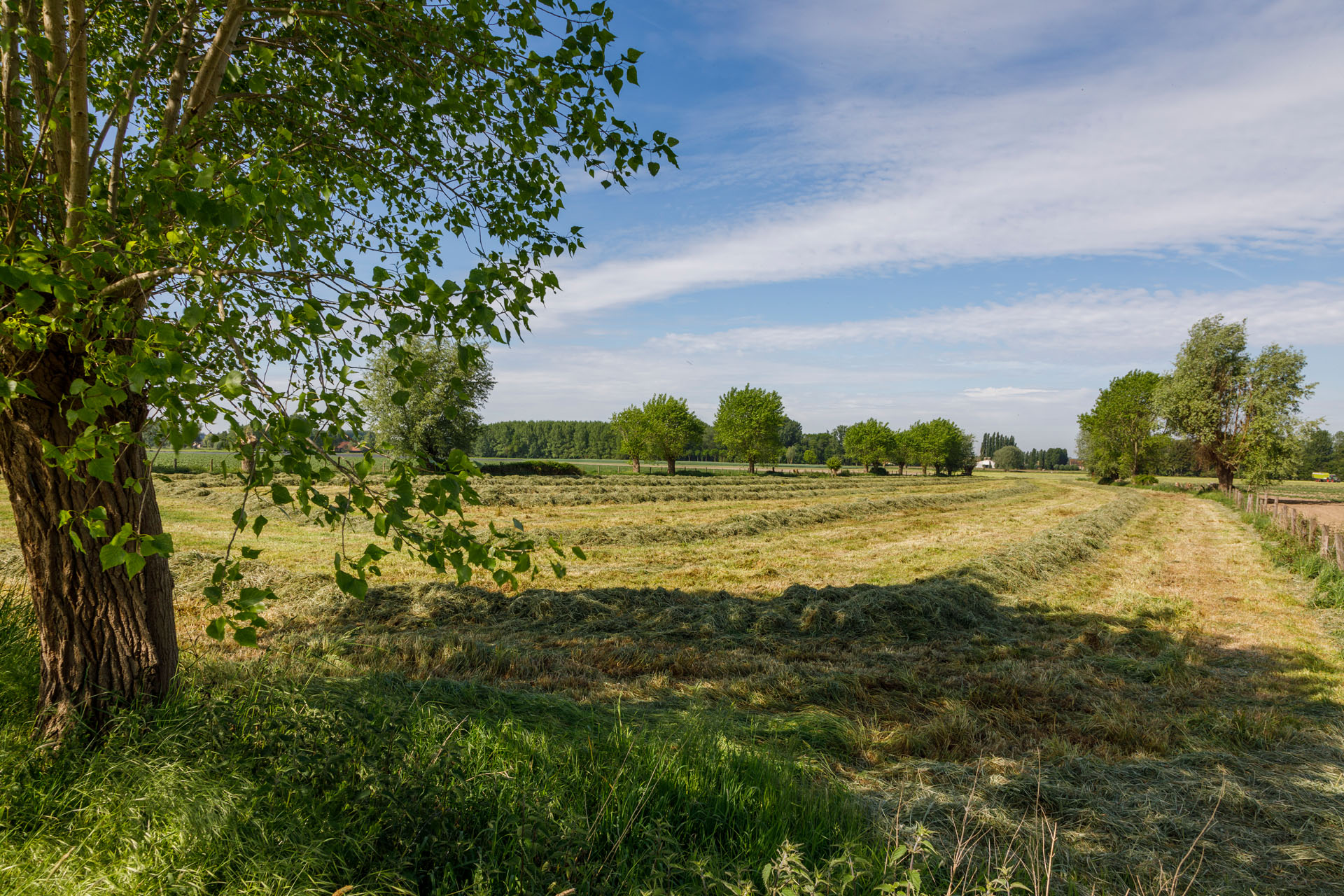 Reportage fotografie Stad Aalter