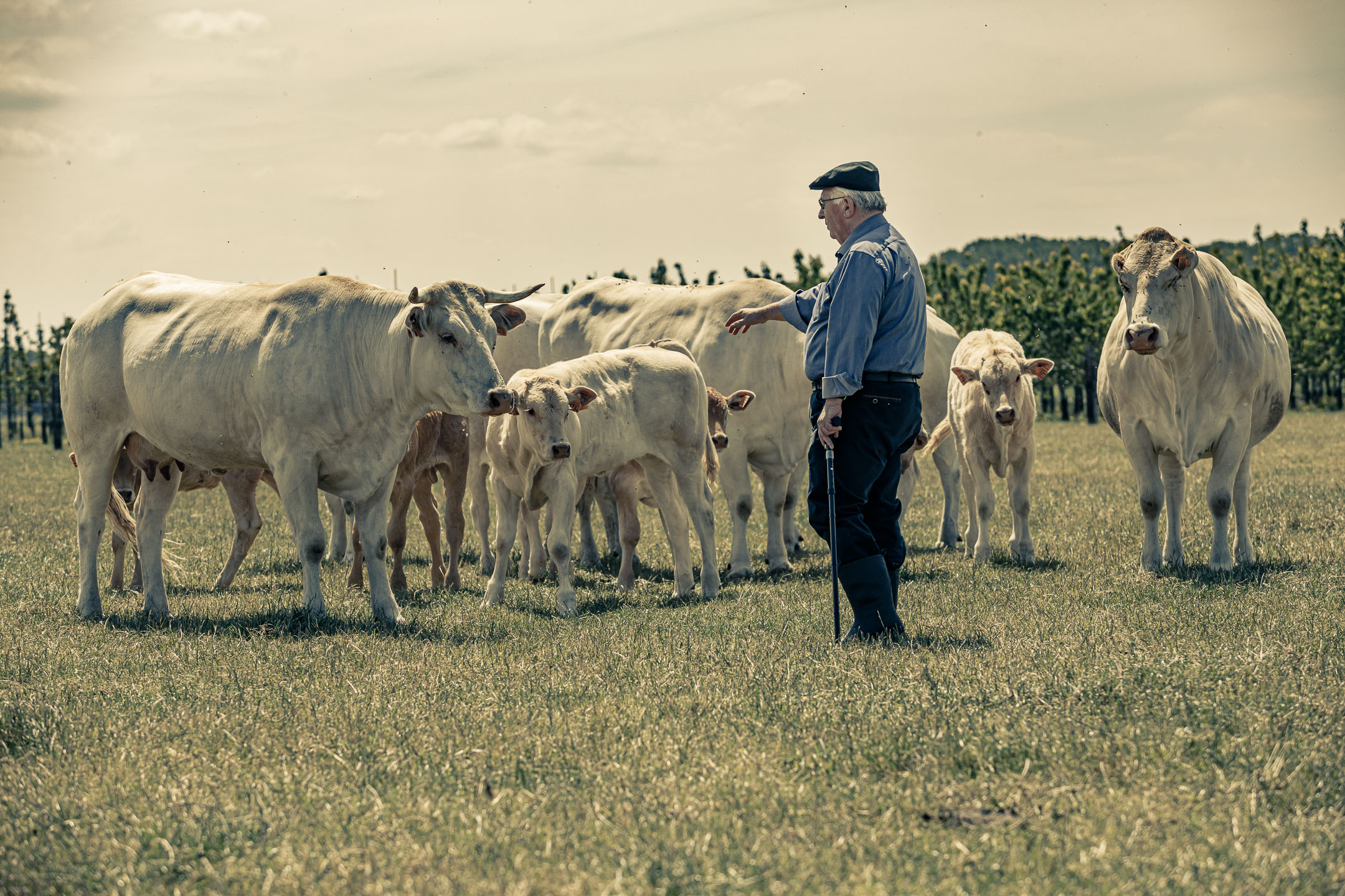 Potretfotografie voor Atelier Souffriau